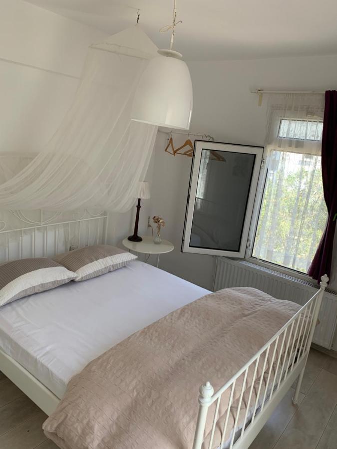 Beyaz Ev Homestay *